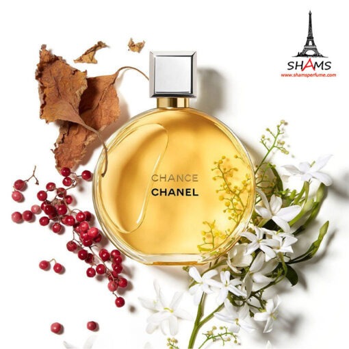 شانل چنس ادوپرفیوم - Chanel Chance Edp 100ml
