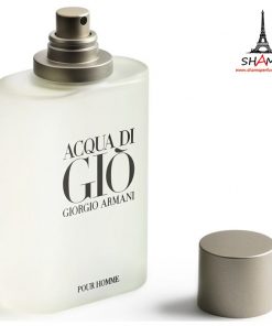 giorgio armani acqua di gio pour homme 100ml