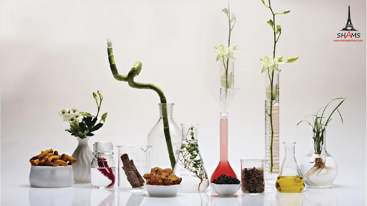 منابع ترکیبات عطر