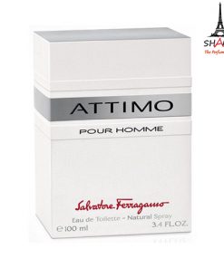 salvatore ferragamo attimo pour homme