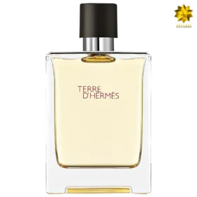 هرمس تق د هرمس - Hermes Terre D’Hermes Edt 100ml