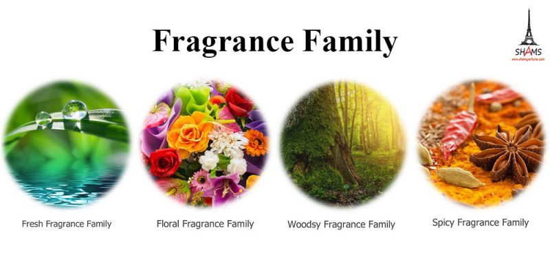 چرخه عطر و شناخت خانواده عطرها