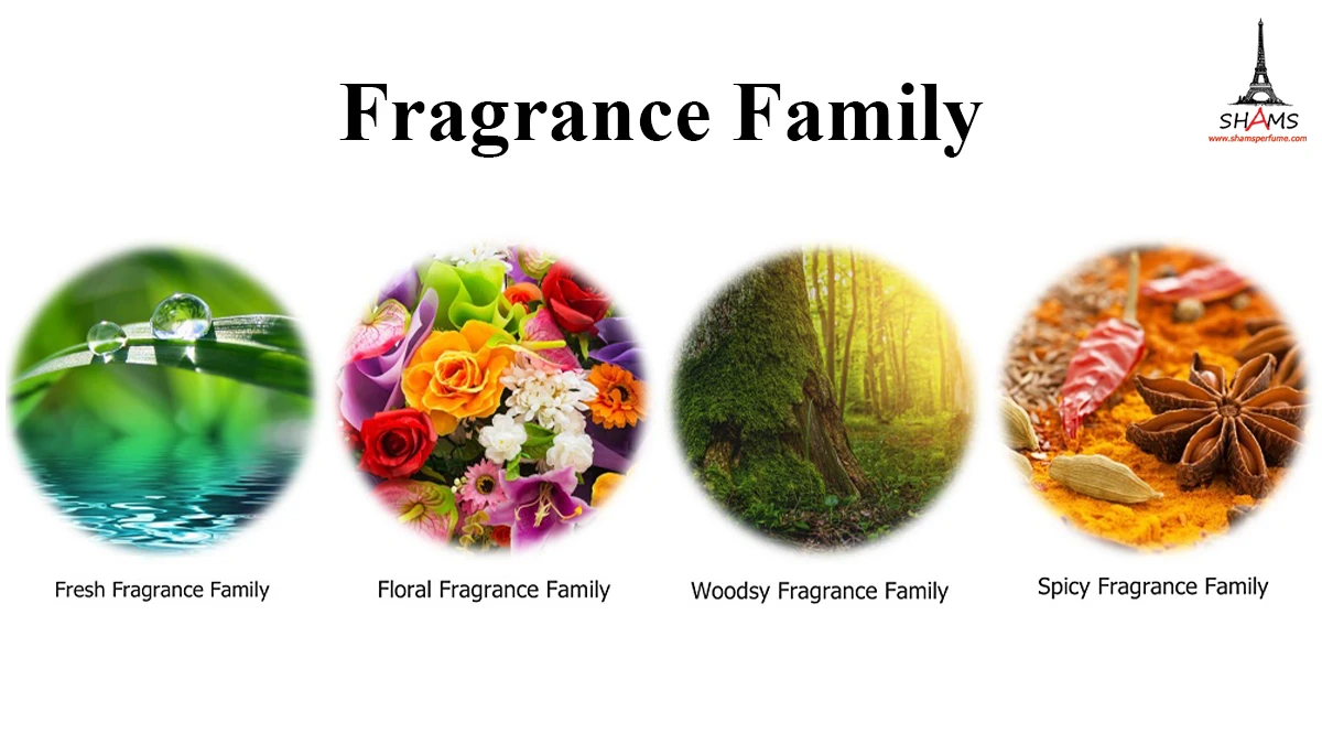 چرخه عطر و شناخت خانواده عطرها