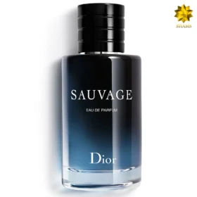 ادوپرفیوم دیور ساواج - Dior Sauvage Edp 100ml