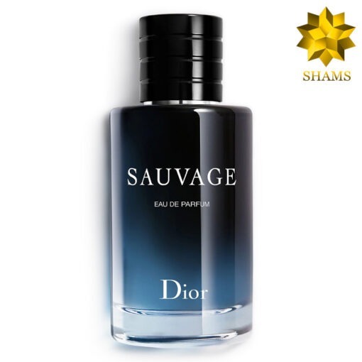 ادوپرفیوم دیور ساواج - Dior Sauvage Edp 100ml