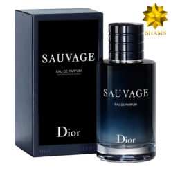 ادوپرفیوم دیور ساواج - Dior Sauvage Edp 100ml