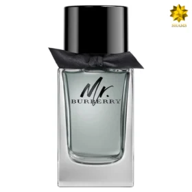 بربری مستر بربری ادوتویلت - Burberry Mr. Burberry Edt 100ml