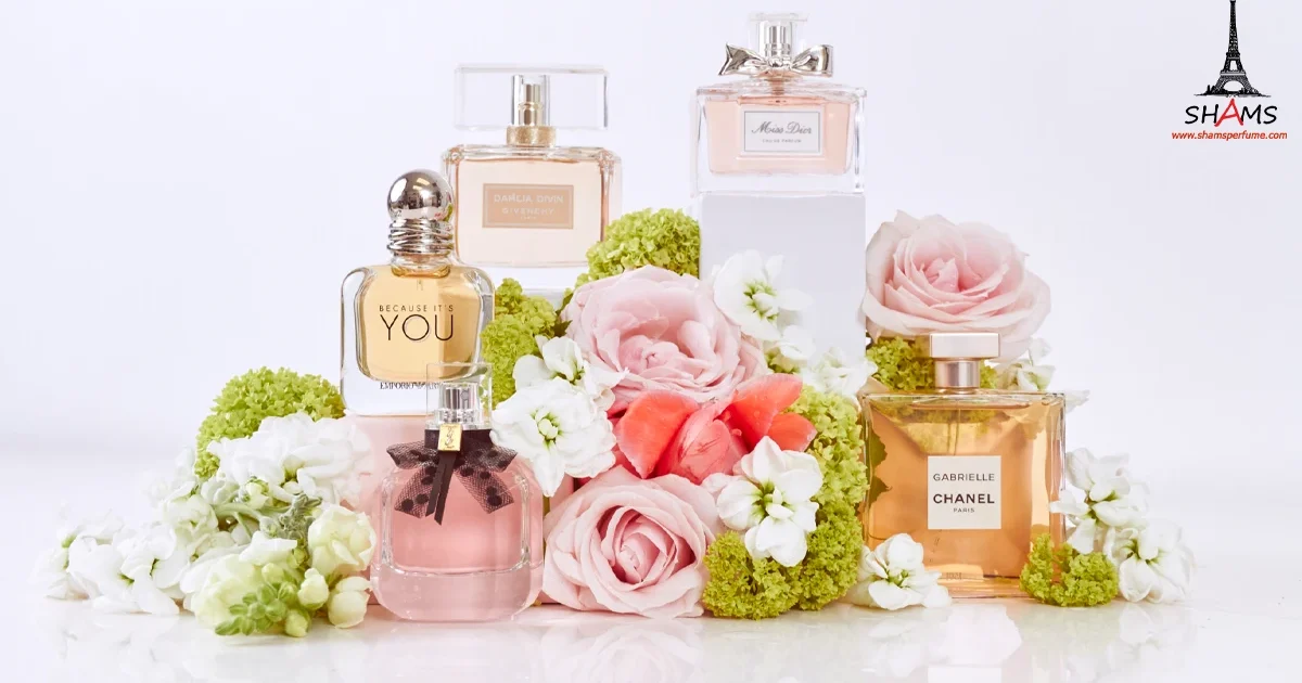 Store-Perfume نگهداری عطر